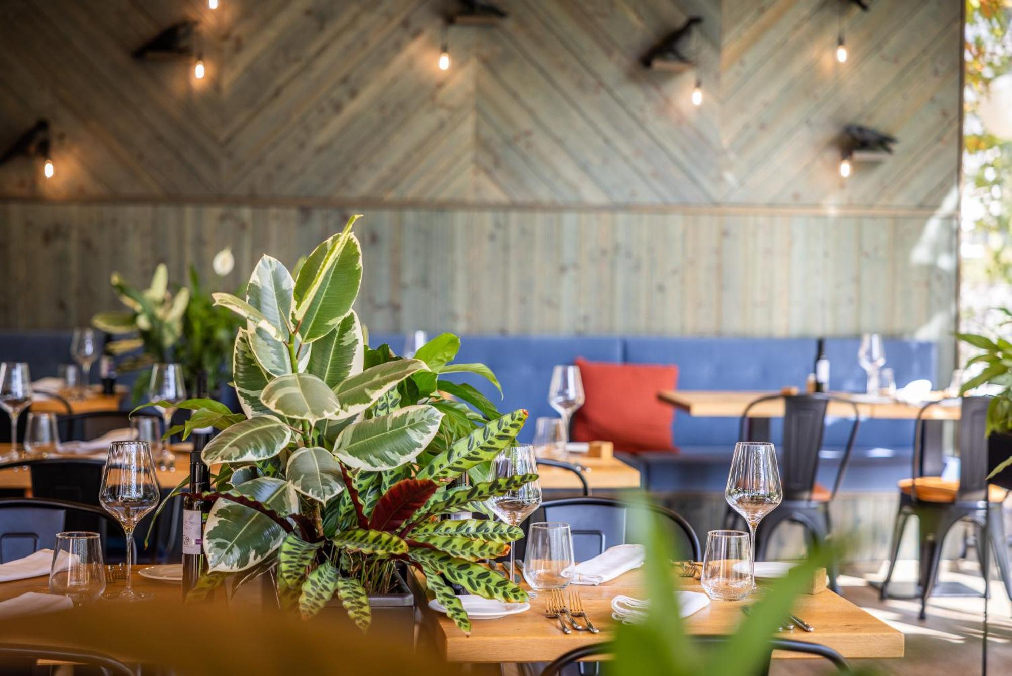 Boutique Hotel Sunrose 7 - Gourmet & Spa (Adults Only) Bohinj Exterior photo